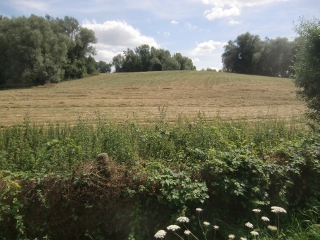 Rees : Bergswick, Landschaft am Reeser Meer